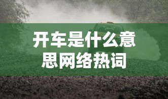 开车是什么意思网络热词  第1张