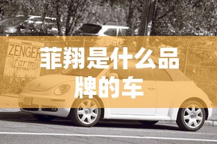 菲翔是什么品牌的车  第1张