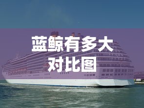 蓝鲸有多大对比图  第1张