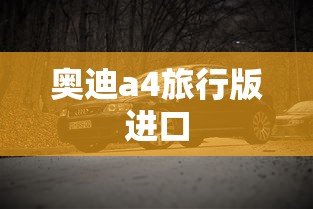 奥迪a4旅行版进口  第1张