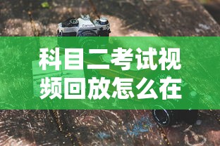 科目二考试视频回放怎么在网上看  第1张