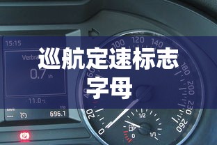 巡航定速标志字母  第1张