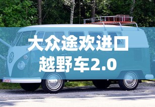 平天大圣是谁  第1张