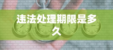 违法处理期限是多久  第1张