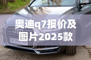 奥迪q7报价及图片2025款价格  第1张