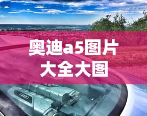 奥迪a5图片大全大图  第1张