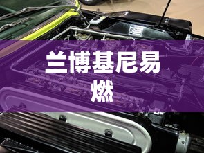 兰博基尼易燃  第1张