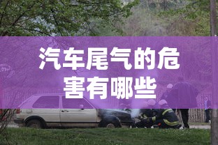 汽车尾气的危害有哪些  第1张