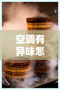 空调有异味怎么处理视频  第1张