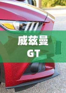 威兹曼GT  第1张