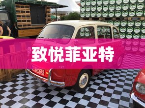 致悦菲亚特  第1张