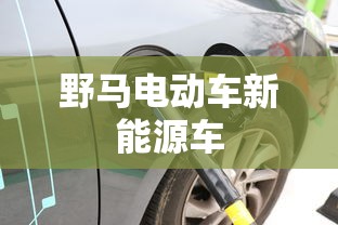 野马电动车新能源车  第1张