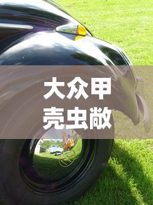 大众甲壳虫敞篷车多少钱  第1张