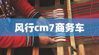 风行cm7商务车  第1张