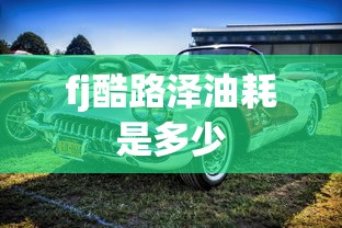 fj酷路泽油耗是多少  第1张