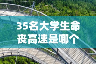 35名大学生命丧高速是哪个学校的  第1张