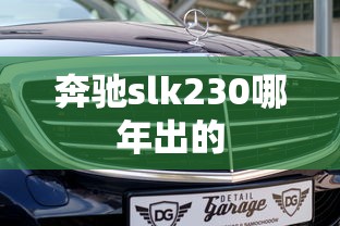 奔驰slk230哪年出的  第1张
