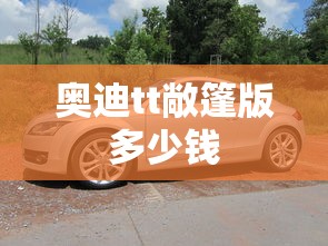 奥迪tt敞篷版多少钱  第1张