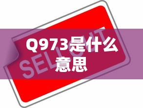 Q973是什么意思  第1张