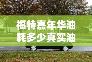 福特嘉年华油耗多少真实油耗  第1张
