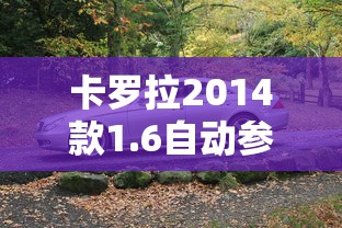 卡罗拉2014款1.6自动参数配置  第1张