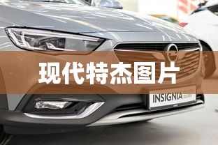 现代特杰图片  第1张