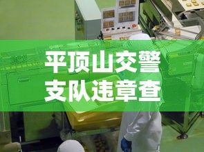 平顶山交警支队违章查询电话  第1张