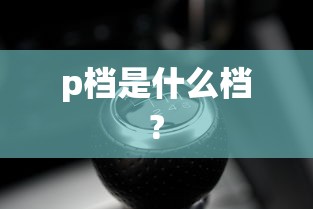 p档是什么档?  第1张