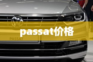 passat价格  第1张