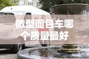 微型面包车哪个质量最好  第1张