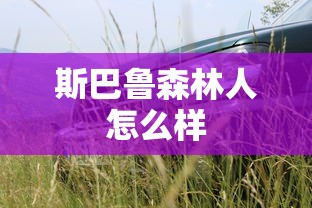 斯巴鲁森林人怎么样  第1张