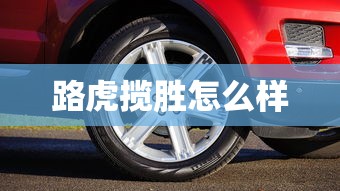 路虎揽胜怎么样  第1张