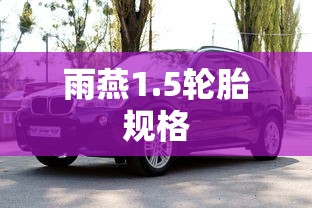 雨燕1.5轮胎规格  第1张