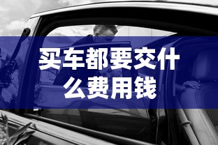买车都要交什么费用钱  第1张