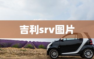 吉利srv图片  第1张