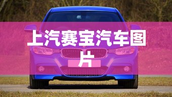 上汽赛宝汽车图片  第1张