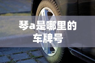 琴a是哪里的车牌号  第1张