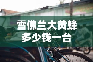 雪佛兰大黄蜂多少钱一台  第1张