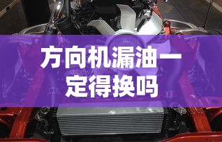 方向机漏油一定得换吗  第1张