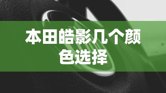 本田皓影几个颜色选择  第1张