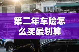 第二年车险怎么买最划算  第1张