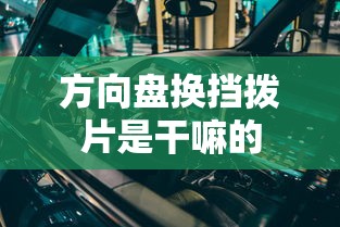 方向盘换挡拨片是干嘛的  第1张