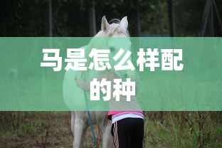 马是怎么样配的种  第1张