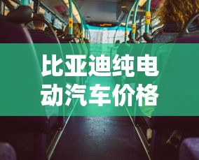 比亚迪纯电动汽车价格表  第1张