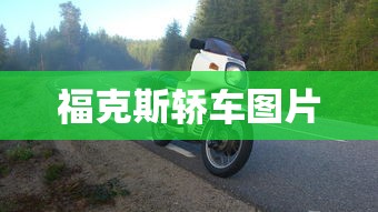 福克斯轿车图片  第1张