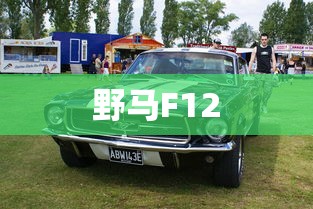 野马F12  第1张