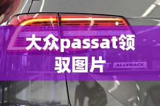 大众passat领驭图片  第1张