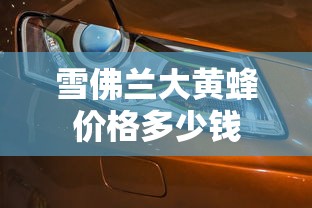 雪佛兰大黄蜂价格多少钱  第1张
