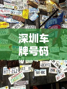 深圳车牌号码自选网站  第1张