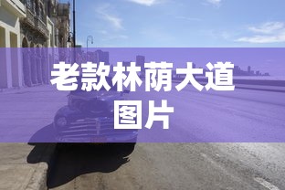 老款林荫大道图片  第1张